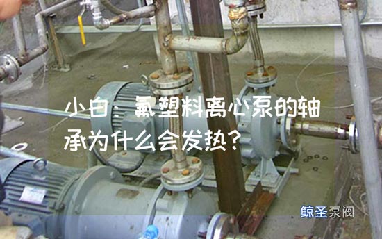 小白：氟塑料离心泵的轴承为什么会发热？