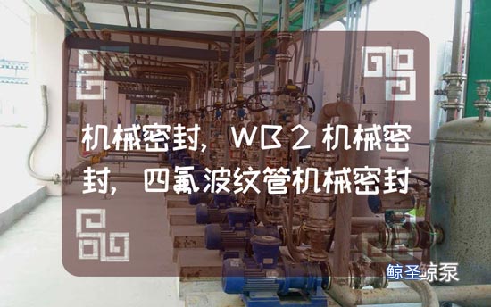 机械密封,WB2机械密封,四氟波纹管机械密封