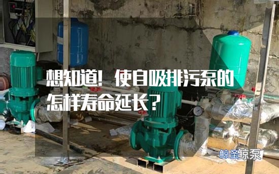 想知道：使用自吸排污泵怎样寿命延长?