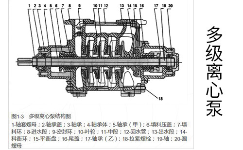 多级离心泵结构图
